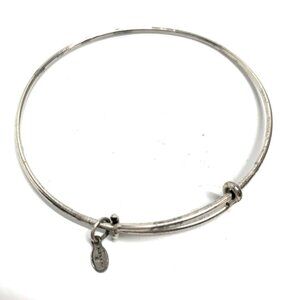 Alex and Ani Charm Station Bracelet Silver/Gold Finish - Expands 2"- 3.5"